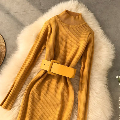 Women's Turtleneck Dress – Cintia