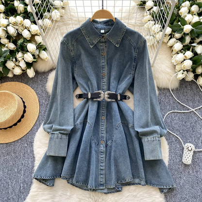 Women's Denim Dress – Kendi