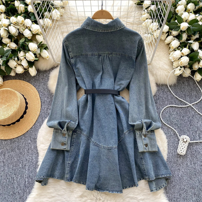 Women's Denim Dress – Kendi – view 3