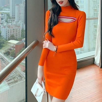 Women's Turtleneck Dress – Beatrix